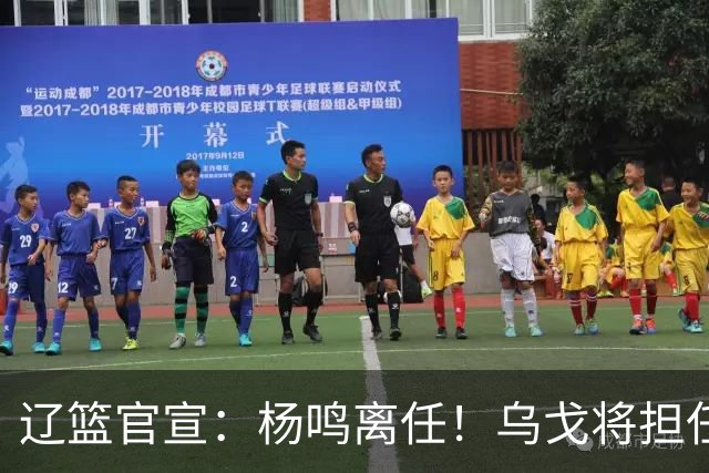 辽篮官宣：杨鸣离任！乌戈将担任辽宁男篮主帅